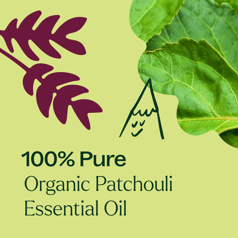 Plant Therapy Organic Patchouli Essential Oil Essential Oil Khaki 10 mL