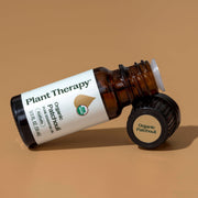 Plant Therapy Organic Patchouli Essential Oil Essential Oil Dark Khaki 10 mL