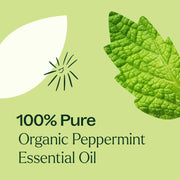 Plant Therapy Organic Peppermint Essential Oil Essential Oil Light Goldenrod 10 mL,30 mL,100 mL