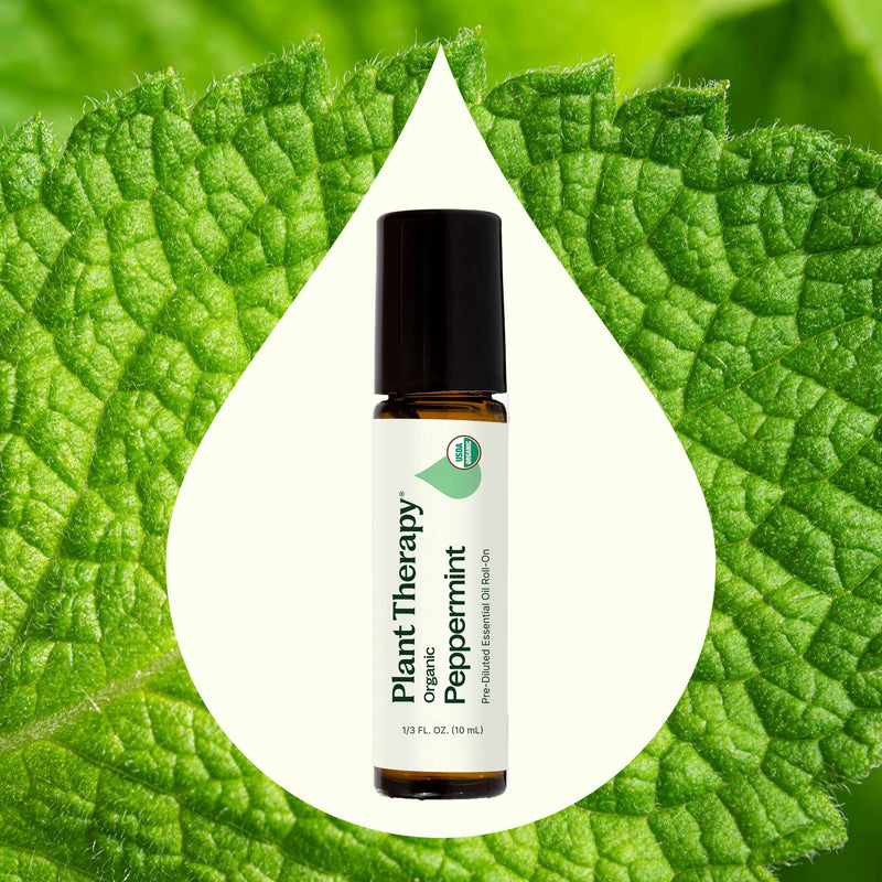 Plant Therapy Organic Peppermint Essential Oil Pre-Diluted Roll-On Essential Oil Olive Drab 10 mL