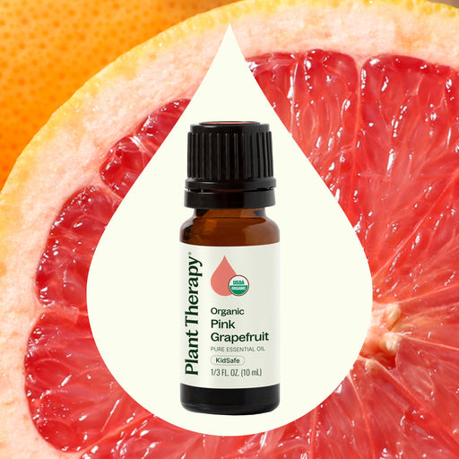 Plant Therapy Organic Pink Grapefruit Essential Oil Essential Oil Antique White 10 mL