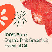Plant Therapy Organic Pink Grapefruit Essential Oil Essential Oil Antique White 10 mL