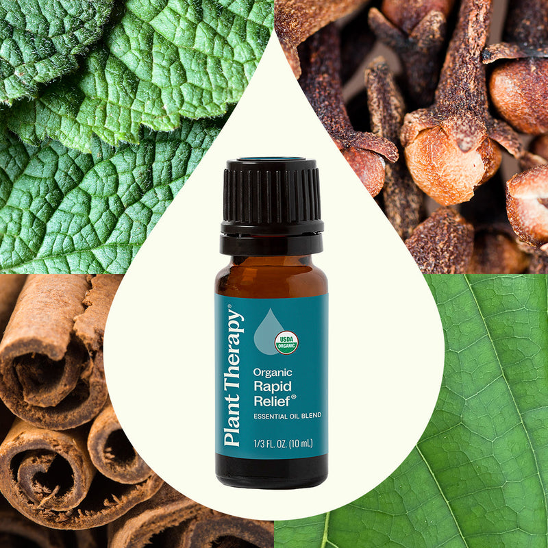 Plant Therapy Organic Rapid Relief Essential Oil Blend Essential Oil Seashell 10 mL
