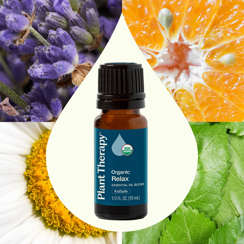 Plant Therapy Organic Relax Essential Oil Blend Essential Oil Seashell 10 mL