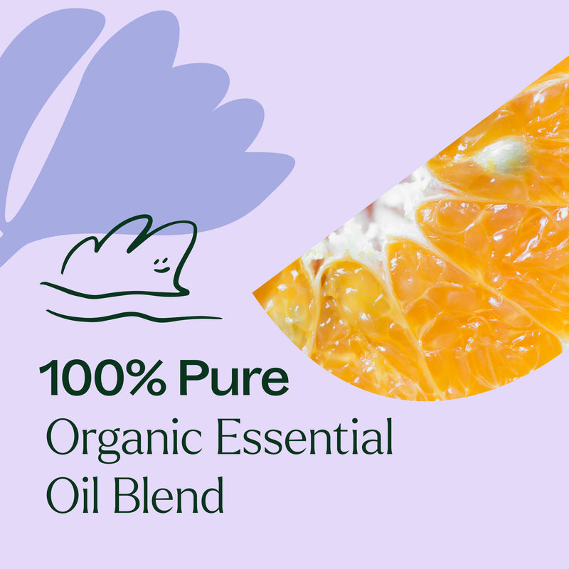Plant Therapy Organic Relax Essential Oil Blend Essential Oil Lavender 10 mL