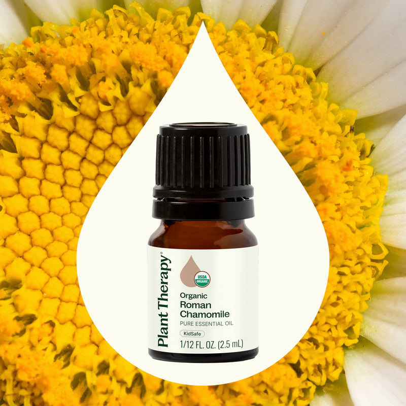 Plant Therapy Organic Roman Chamomile Essential Oil Essential Oil Seashell 2.5 mL,5 mL