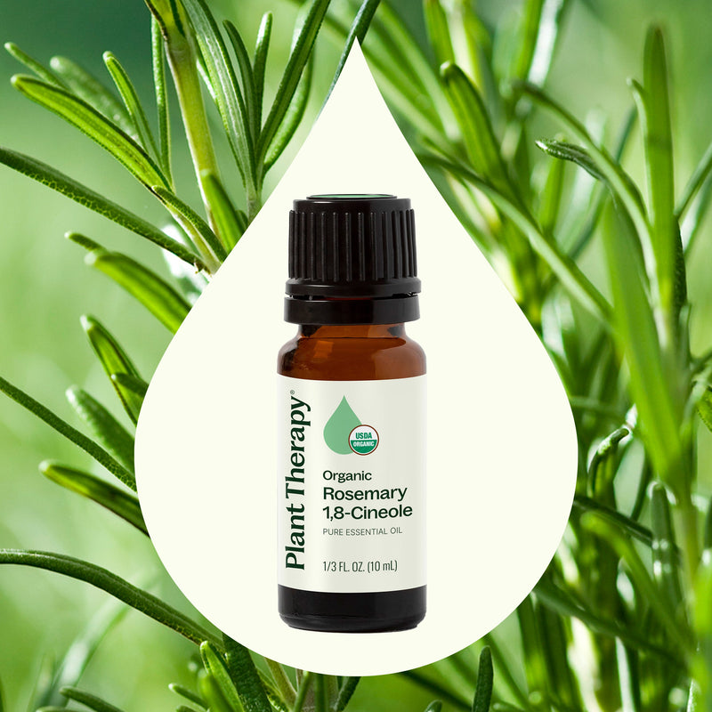 Plant Therapy Organic Rosemary 1,8-Cineole Essential Oil Essential Oil Seashell 10 mL,30 mL,100 mL