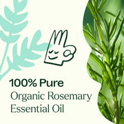 Plant Therapy Organic Rosemary 1,8-Cineole Essential Oil Essential Oil White Smoke 10 mL,30 mL,100 mL