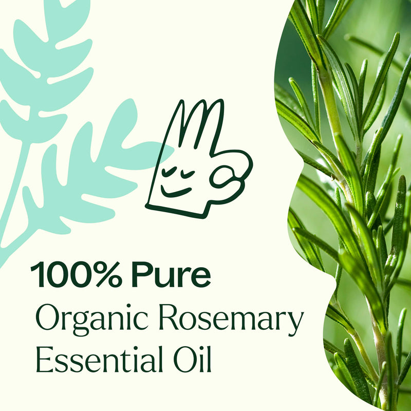 Plant Therapy Organic Rosemary 1,8-Cineole Essential Oil Essential Oil White Smoke 10 mL,30 mL,100 mL