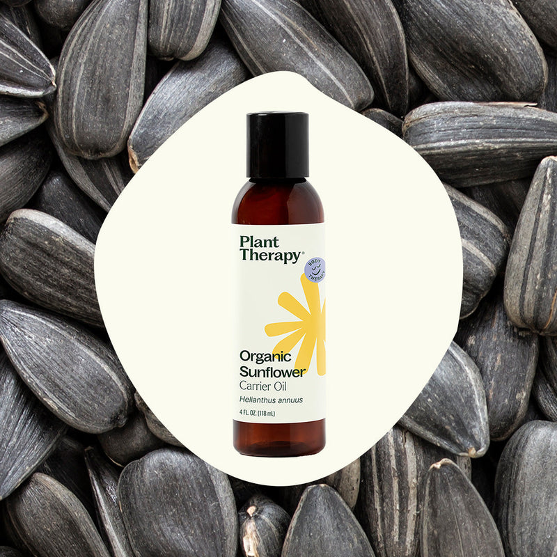 Plant Therapy Organic Sunflower Carrier Oil Body Care Seashell 4 oz