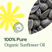 Plant Therapy Organic Sunflower Carrier Oil Body Care Seashell 4 oz
