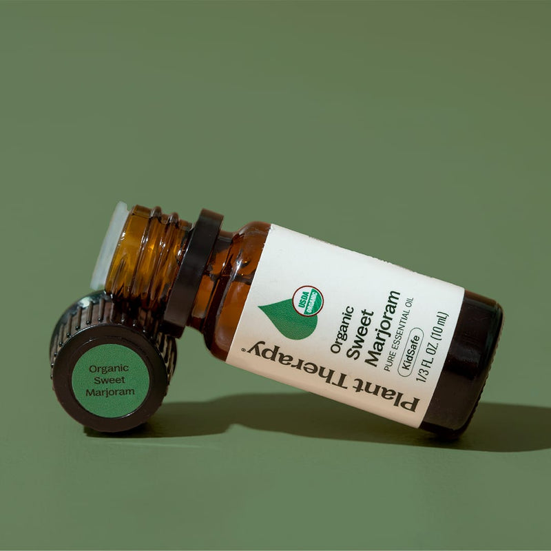 Plant Therapy Organic Sweet Marjoram Essential Oil Essential Oil Dim Gray 10 mL