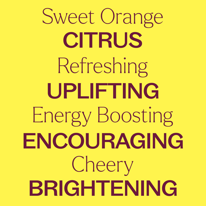 Plant Therapy Organic Sweet Orange Essential Oil Essential Oil Light Goldenrod 10 mL,30 mL,100 mL
