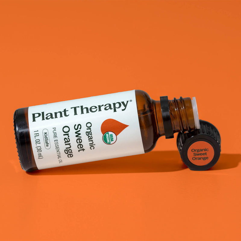 Plant Therapy Organic Sweet Orange Essential Oil Essential Oil Chocolate 10 mL,30 mL,100 mL