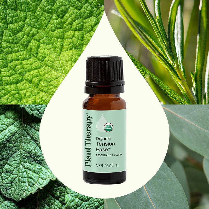 Plant Therapy Organic Tension Ease™ Essential Oil Blend Essential Oil Seashell 10 mL