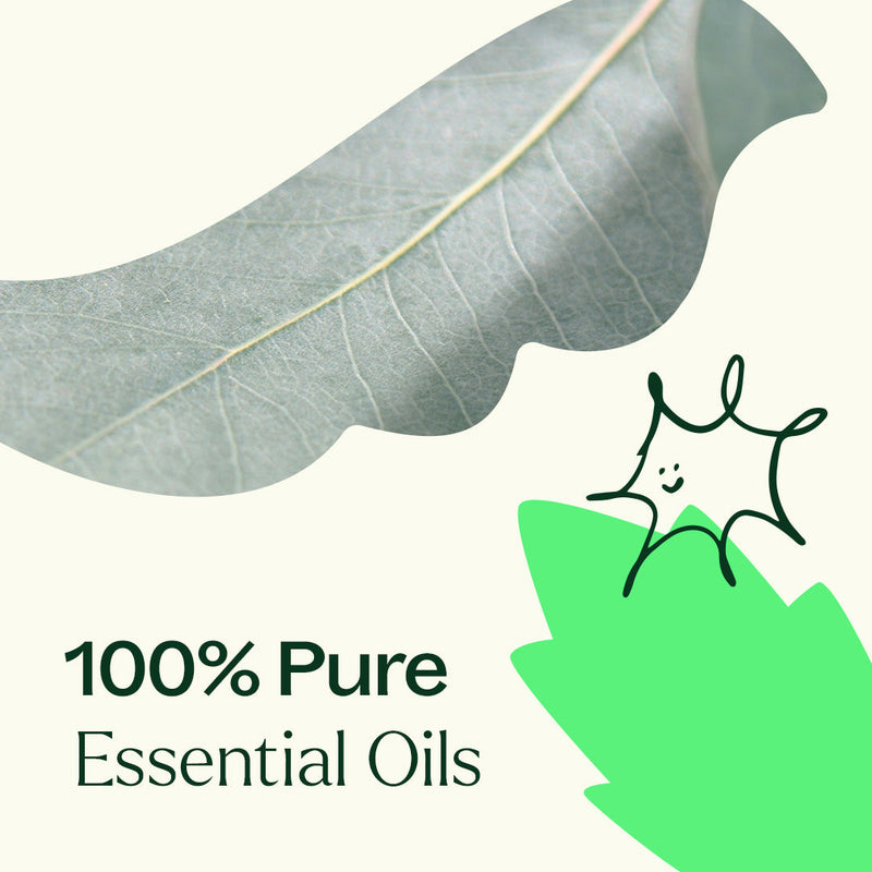 Plant Therapy Organic Tension Ease™ Essential Oil Blend Essential Oil Seashell 10 mL