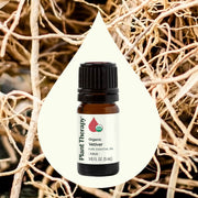 Plant Therapy Organic Vetiver Essential Oil Essential Oil Seashell 5 mL