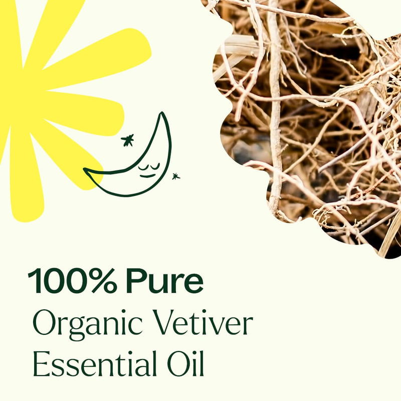 Plant Therapy Organic Vetiver Essential Oil Essential Oil Seashell 5 mL