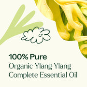 Plant Therapy Organic Ylang Ylang Complete Essential Oil Essential Oil Seashell 10 mL,30 mL