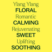 Plant Therapy Organic Ylang Ylang Complete Essential Oil Essential Oil Light Goldenrod 10 mL,30 mL
