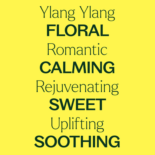 Plant Therapy Organic Ylang Ylang Complete Essential Oil Essential Oil Light Goldenrod 10 mL,30 mL