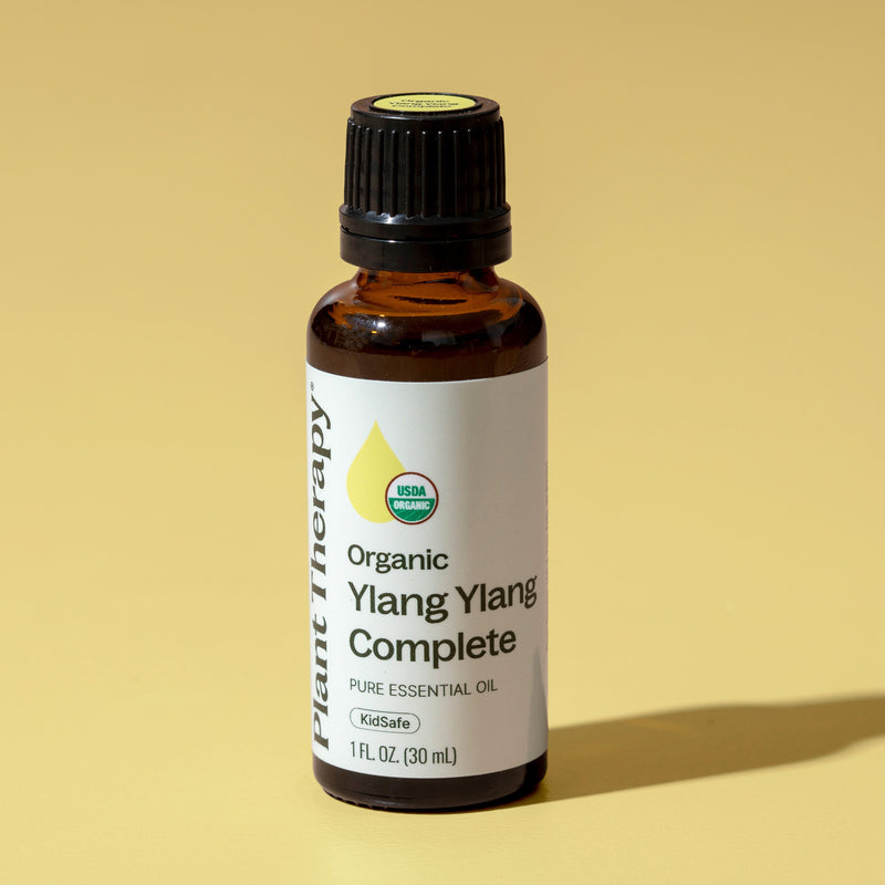 Plant Therapy Organic Ylang Ylang Complete Essential Oil Essential Oil Light Goldenrod 10 mL,30 mL