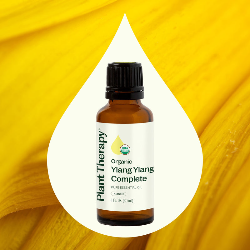 Plant Therapy Organic Ylang Ylang Complete Essential Oil Essential Oil Gold 10 mL,30 mL
