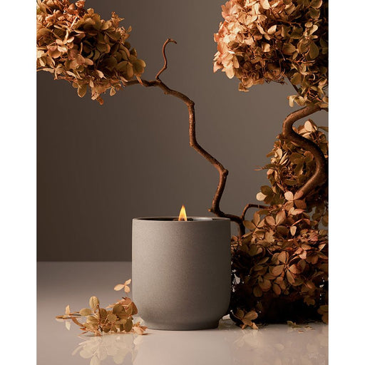 Homecourt Candle Candle Dark Olive Green Cece