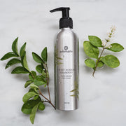 Annmarie Skin Care Sweet Sunrise Shampoo (240ml)- Collective HIDDEN Light Gray