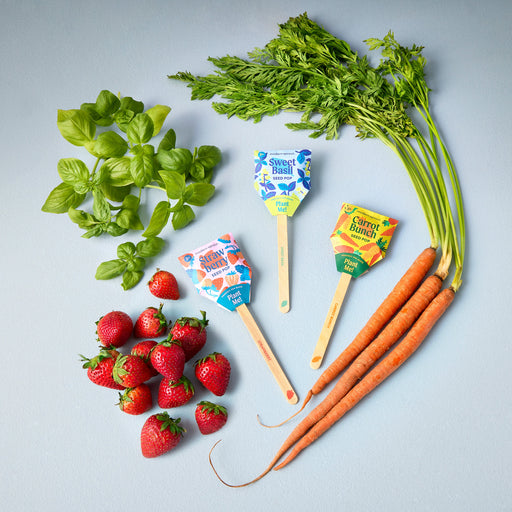 Modern Sprout Seed Pops - Garden Playful Planting Light Gray Strawberry 1pk,Carrot Bunch 1pk,Sweet Basil 1pk,Mixed 12pk