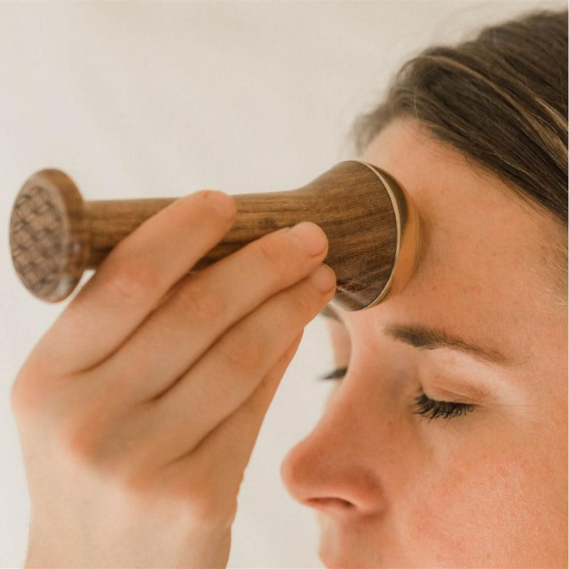 Paavani Ayurveda Radiant Skin Ritual | Ayurvedic Kansa Wand Facial Massage Kit variable Light Gray Vata,Pitta,Kapha,Tridoshic,Clarify