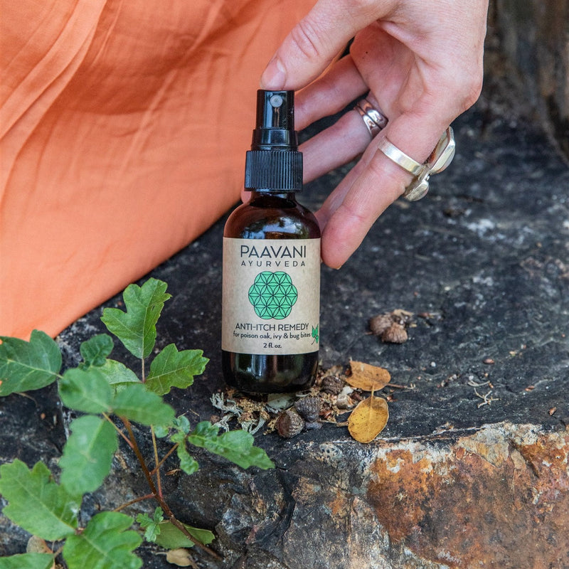 Paavani Ayurveda Anti-Itch Remedy | Natural Relief for Poison Oak, Ivy & Bug Bites simple Salmon
