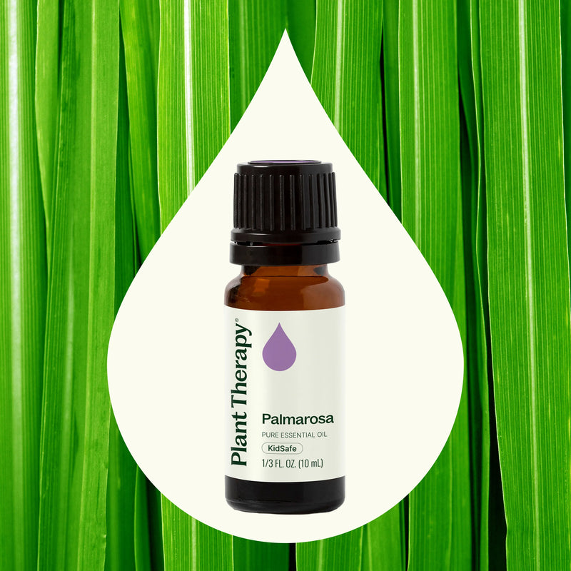 Plant Therapy Palmarosa Essential Oil Essential Oil Seashell 10 mL