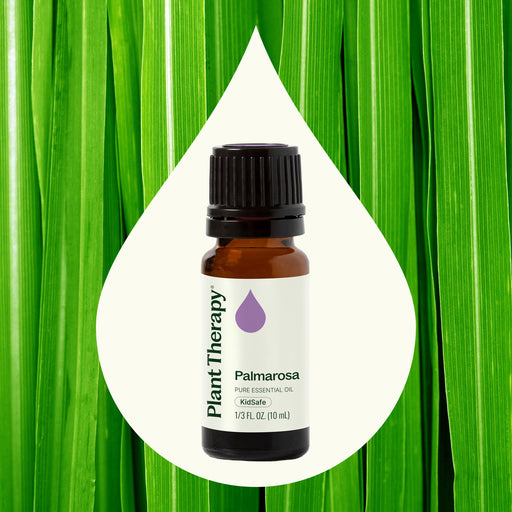 Plant Therapy Palmarosa Essential Oil Essential Oil Seashell 10 mL