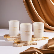 Aroma360 Paris Collection Candle Trio Paris Collection Light Slate Gray Dream On,Escapade,Chandelier,My Way