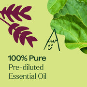 Plant Therapy Patchouli Essential Oil Pre-Diluted Roll-On Essential Oil Khaki 10 mL