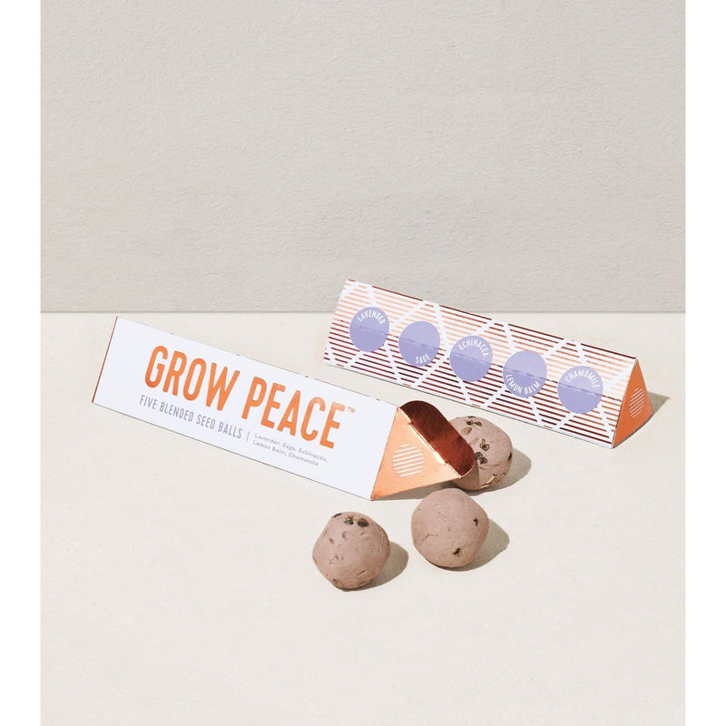 Modern Sprout Bright Side Seed Balls Playful Planting Light Gray Grow Peace