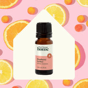 Plant Therapy Pearberry Lychee Natural Fragrance Household Seashell 10 mL