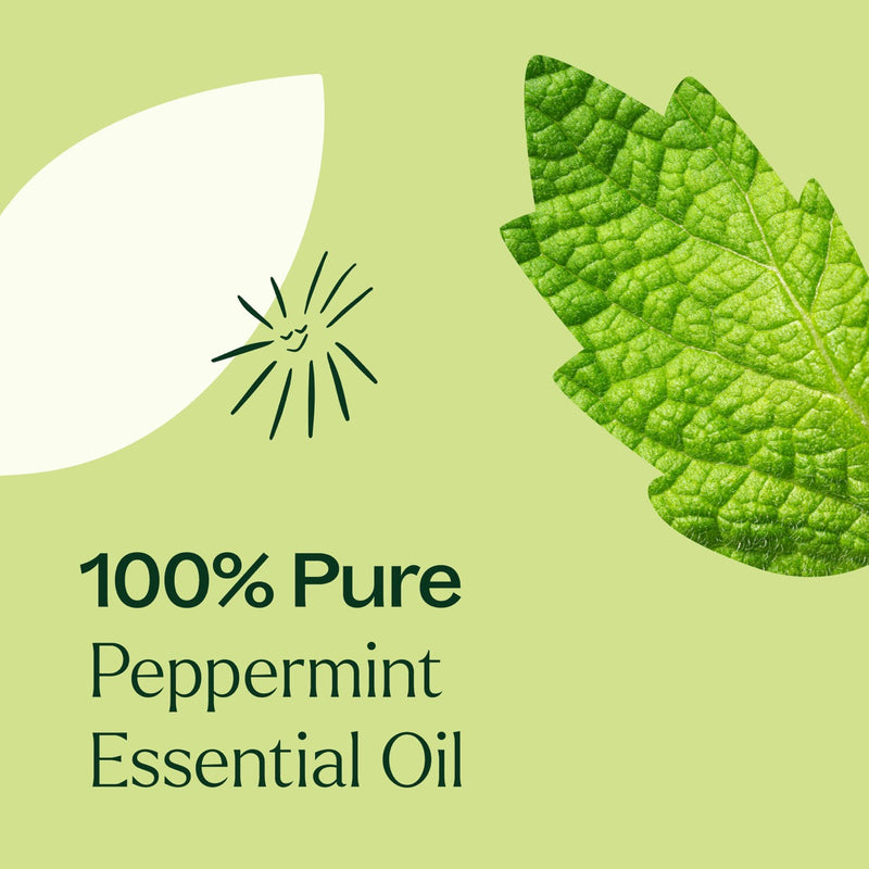 Plant Therapy Peppermint Essential Oil Essential Oil Khaki 10 mL,30 mL,100 mL