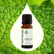 Plant Therapy Peppermint Essential Oil Essential Oil Seashell 10 mL,30 mL,100 mL