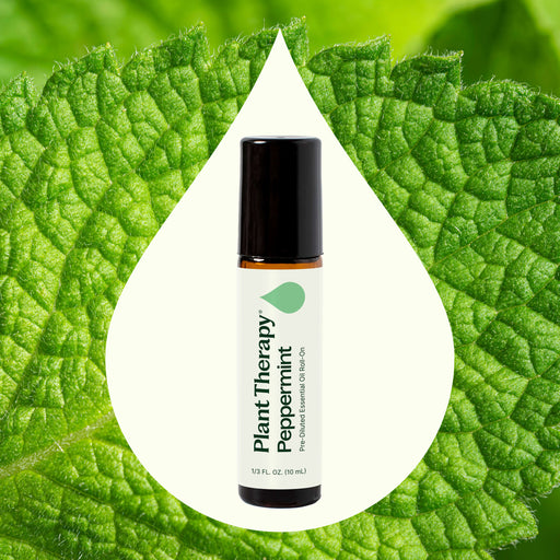 Plant Therapy Peppermint Essential Oil Pre-Diluted Roll-On Essential Oil Seashell 10 mL