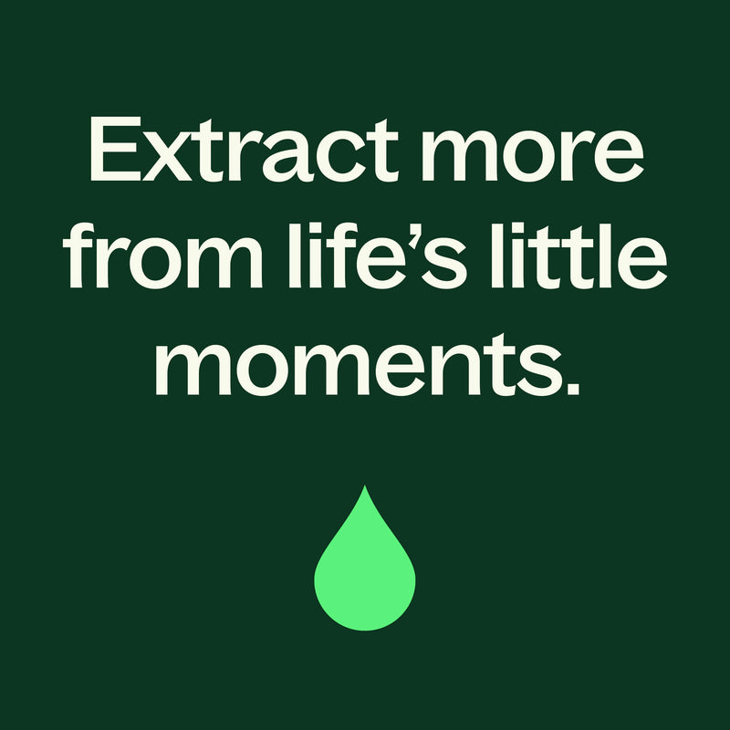 Plant Therapy Peppermint Body Lotion with Aloe and Shea Body Care Dark Slate Gray 8 oz