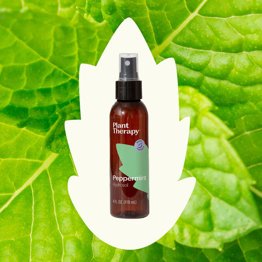 Plant Therapy Peppermint Hydrosol Body Care Seashell 4 oz