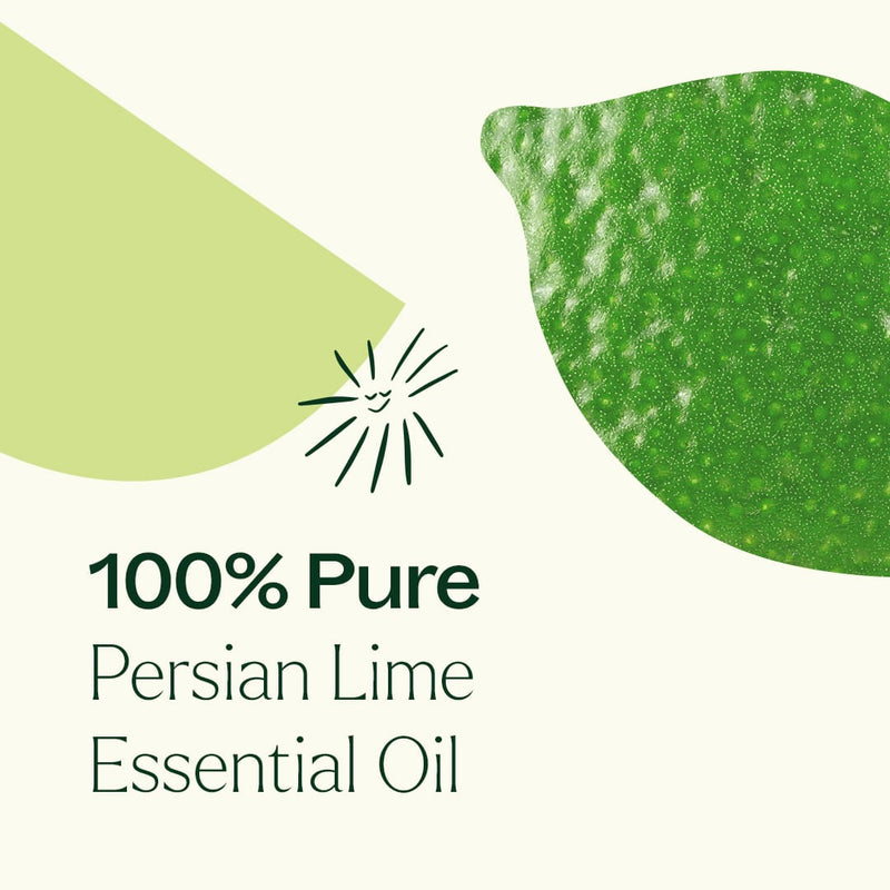Plant Therapy Persian Lime Essential Oil Essential Oil Seashell 10 mL,30 mL