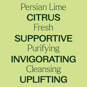 Plant Therapy Persian Lime Essential Oil Essential Oil Khaki 10 mL,30 mL