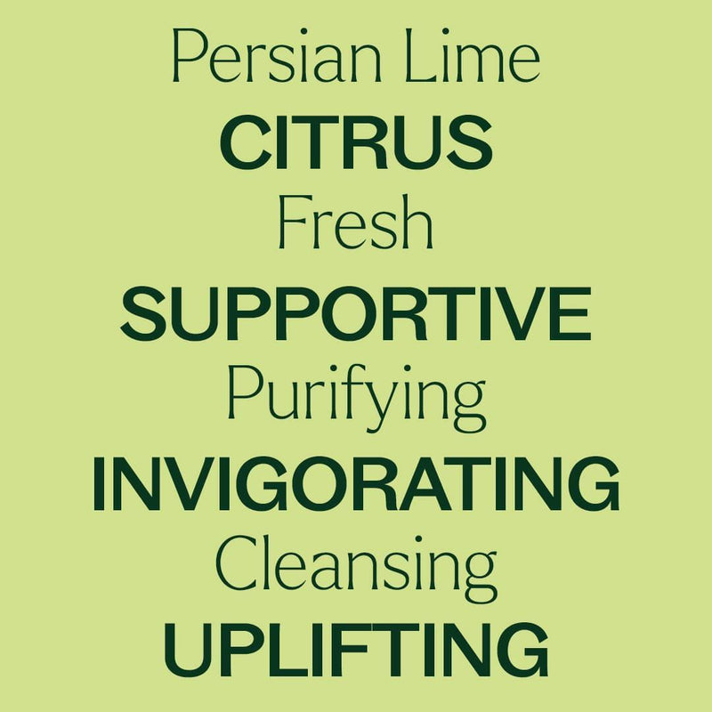 Plant Therapy Persian Lime Essential Oil Essential Oil Khaki 10 mL,30 mL