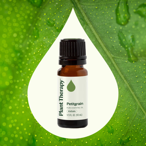 Plant Therapy Petitgrain Essential Oil Essential Oil Seashell 10 mL,30 mL