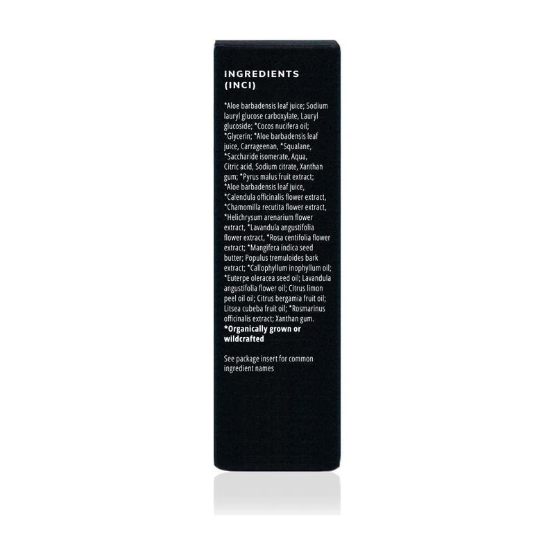 Annmarie Skin Care Phytonutrient Cleanser - Activated Facial Cream Cleanser (100ml)- Collective HIDDEN Black