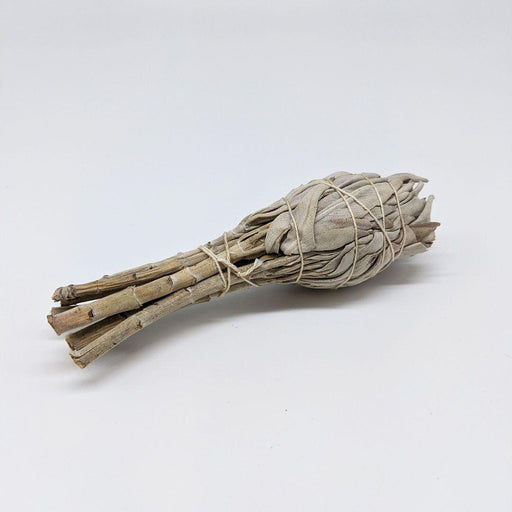 Hyssop Beauty Apothecary L.L.C. Organic White Sage Torch-Style Smudge Stick Incense Light Gray