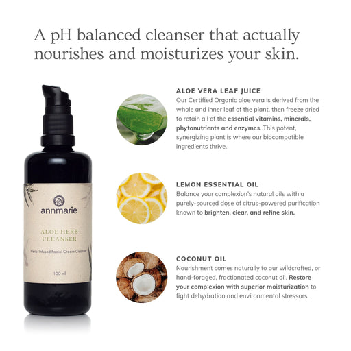 Annmarie Skin Care Aloe Herb Cleanser (100ml)- Collective HIDDEN White Smoke